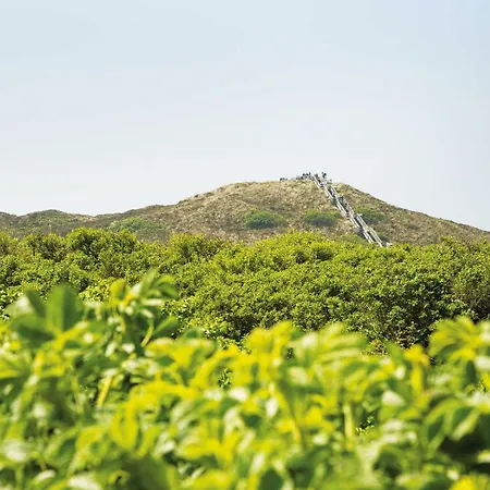 Daire Kampen-kliff 3 Von & Mehr *